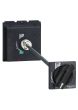 Schneider LV432598, Extended Rotary Handle, PowerPact Multistandard L, EasyPact CVS 400/630, black standard handle, IP55